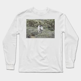 Wild horses, wildlife, gifts, Arizona, Lone Spirit Long Sleeve T-Shirt